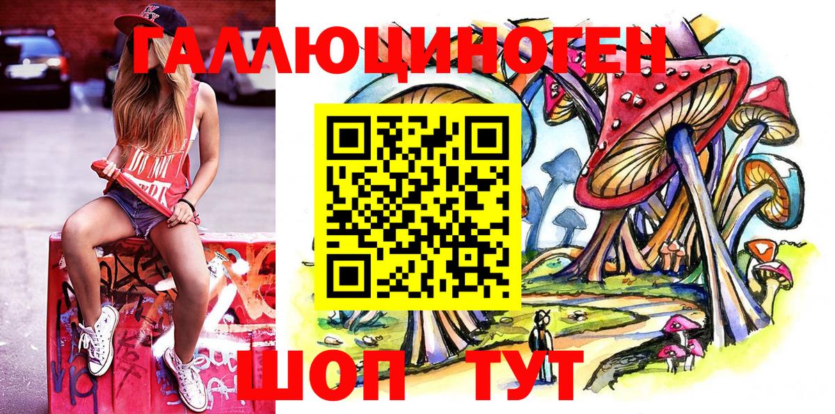 магазин  наркотиков  Псилоцибиновые грибы GOLDEN TEACHER  Вход с VPN  Георгиевск 